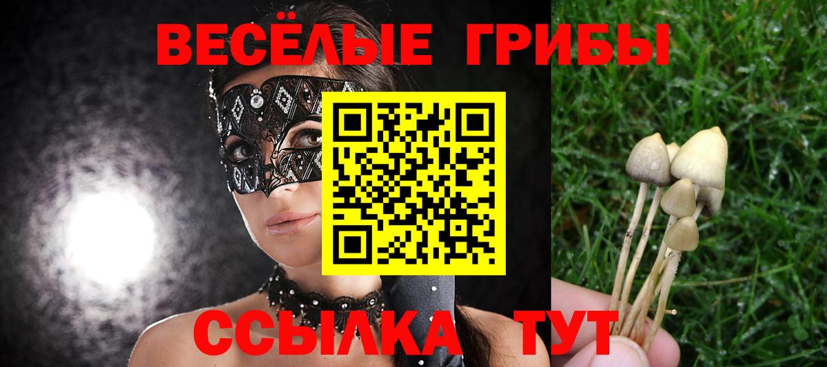 Галлюциногенные грибы мицелий Сатка